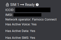 Network Operator Name